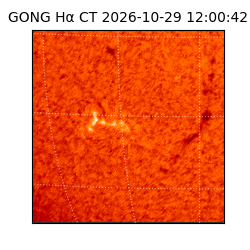 gong - 2026-10-29T12:00:42