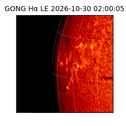 gong - 2026-10-30T02:00:05