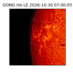 gong - 2026-10-30T07:00:05