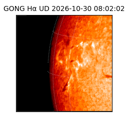 gong - 2026-10-30T08:02:02