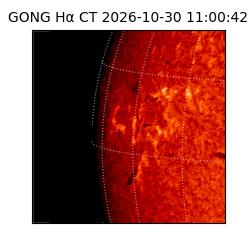 gong - 2026-10-30T11:00:42