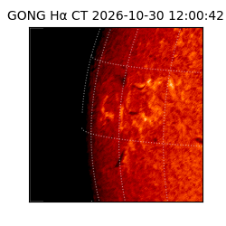 gong - 2026-10-30T12:00:42