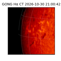 gong - 2026-10-30T21:00:42