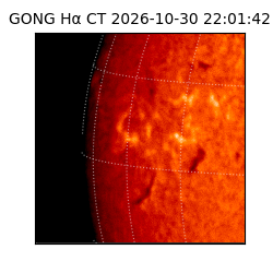gong - 2026-10-30T22:01:42