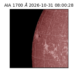 saia - 2026-10-31T08:00:28.716000