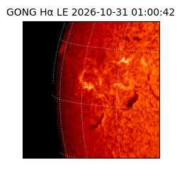 gong - 2026-10-31T01:00:42
