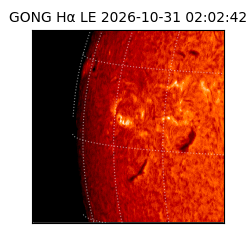 gong - 2026-10-31T02:02:42