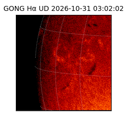 gong - 2026-10-31T03:02:02