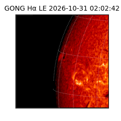 gong - 2026-10-31T02:02:42