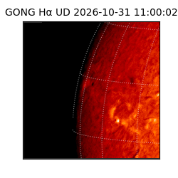 gong - 2026-10-31T11:00:02